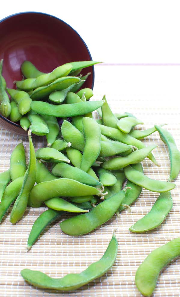 Soyfoods, Isoflavones and Menopausal Symptoms5