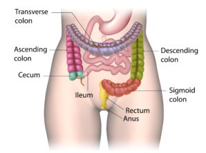 New Home Test For Colon Cancer